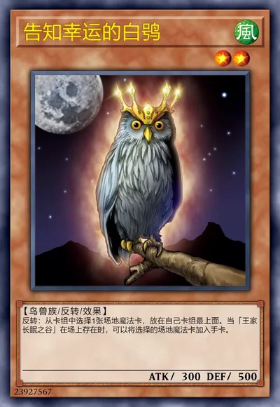 告知幸运的白鸮