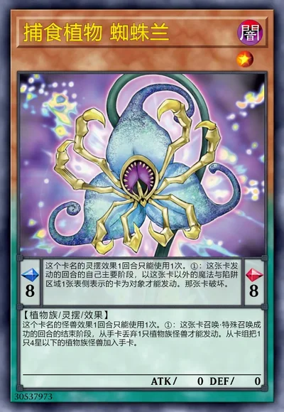 捕食植物 蜘蛛兰