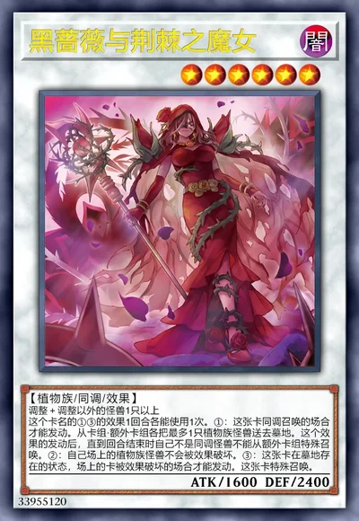 黑蔷薇与荆棘之魔女