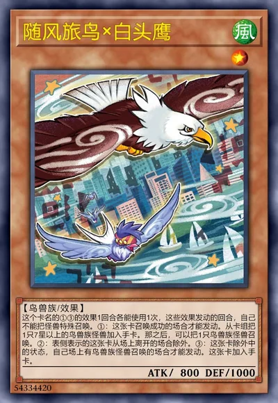 随风旅鸟×白头鹰