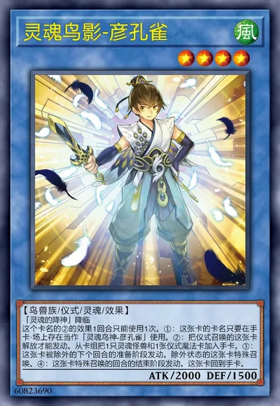 灵魂鸟影-彦孔雀