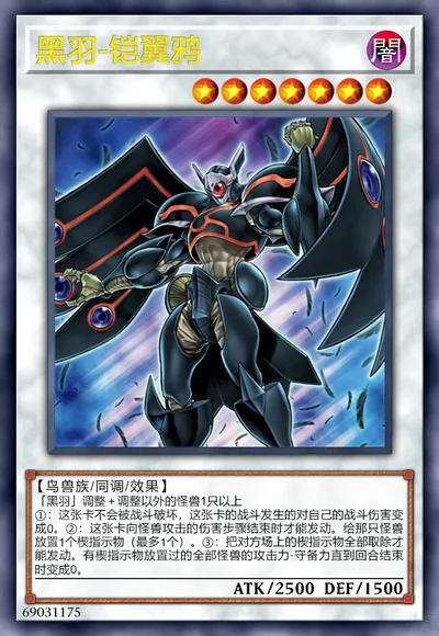 黑羽-铠翼鸦