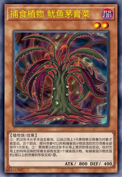 捕食植物 鱿鱼茅膏菜