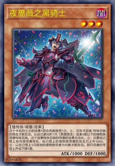 夜蔷薇之黑骑士