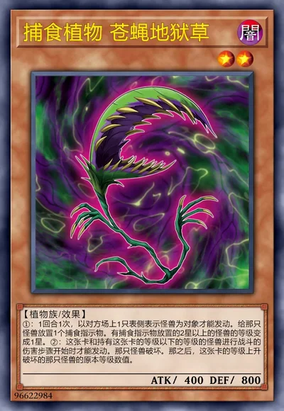 捕食植物 苍蝇地狱草