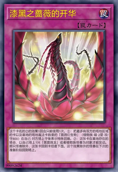 漆黑之蔷薇的开华