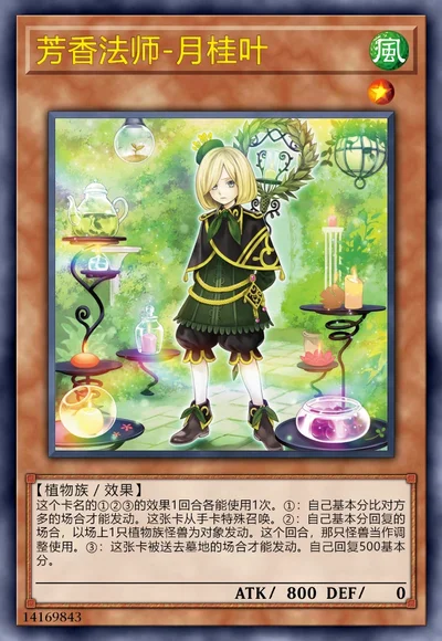 芳香法师-月桂叶