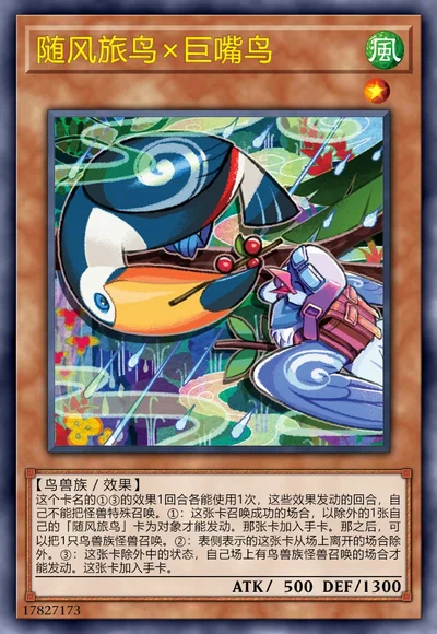 随风旅鸟×巨嘴鸟
