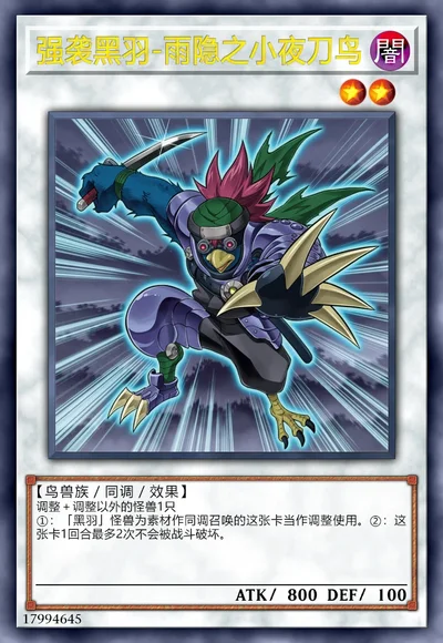 强袭黑羽-雨隐之小夜刀鸟