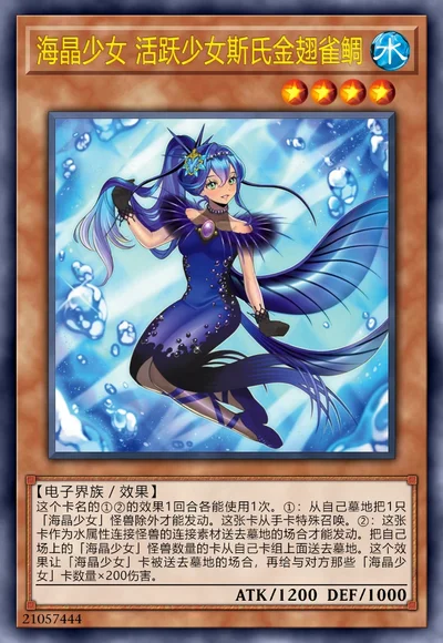 海晶少女 活跃少女斯氏金翅雀鲷