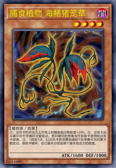 捕食植物 海鳝猪笼草