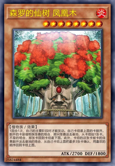 森罗的仙树 凤凰木