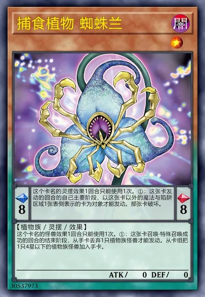 捕食植物 蜘蛛兰