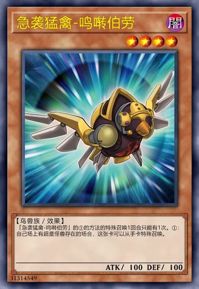 急袭猛禽-鸣啭伯劳