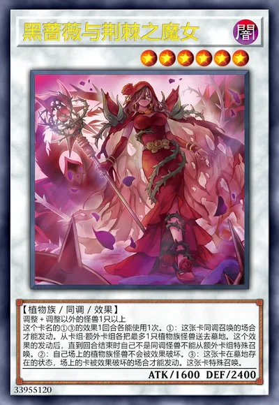 黑蔷薇与荆棘之魔女