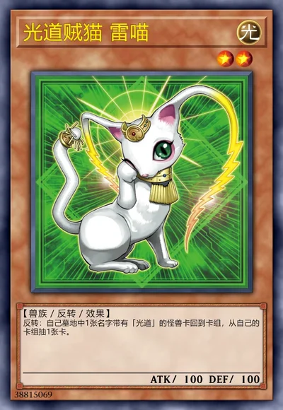 光道贼猫 雷喵