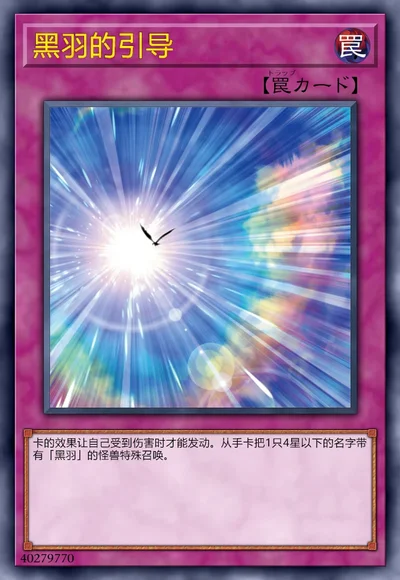 黑羽的引导