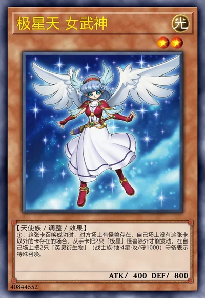 极星天 女武神