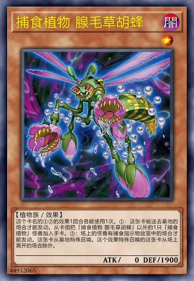 捕食植物 腺毛草胡蜂