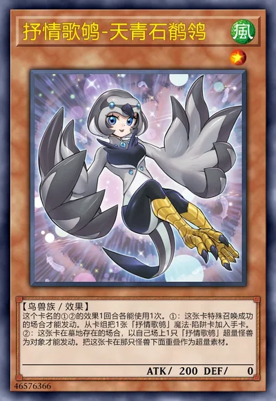 抒情歌鸲-天青石鹡鸰