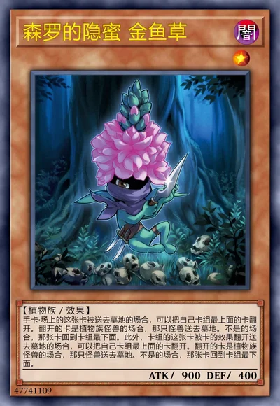 森罗的隐蜜 金鱼草