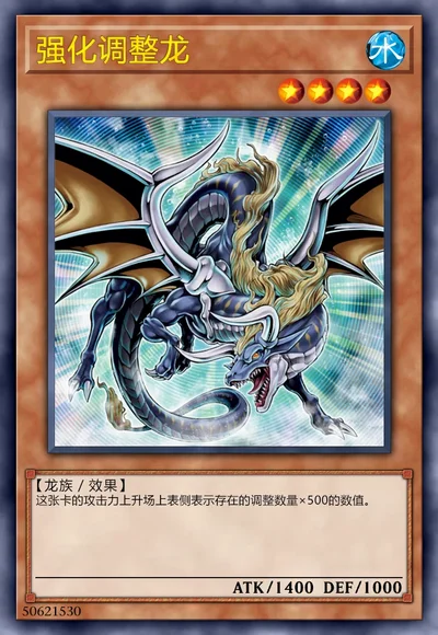 强化调整龙