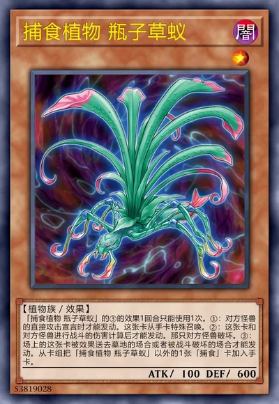 捕食植物 瓶子草蚁