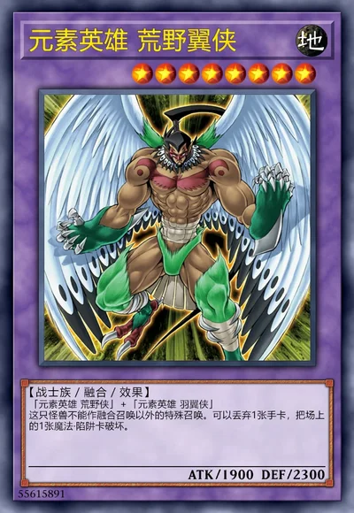 元素英雄 荒野翼侠