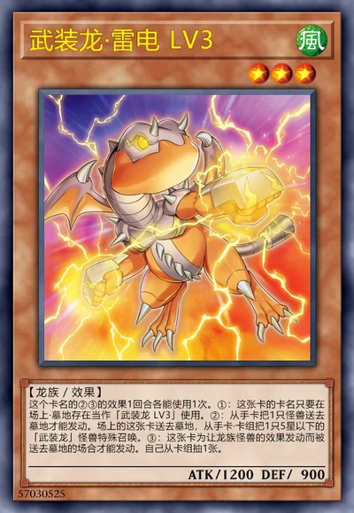 武装龙·雷电 LV3