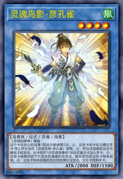 灵魂鸟影-彦孔雀