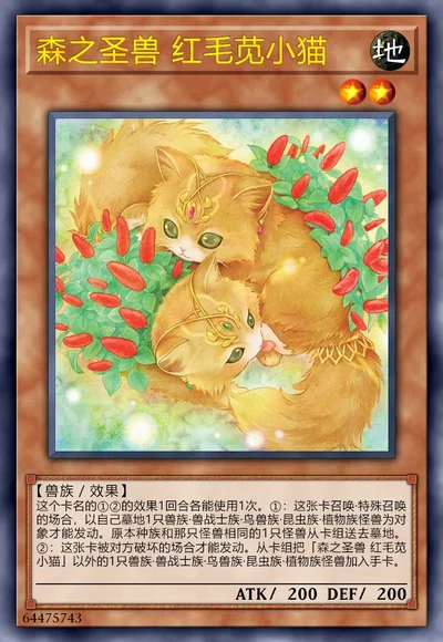 森之圣兽 红毛苋小猫