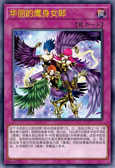 华丽的鹰身女郎