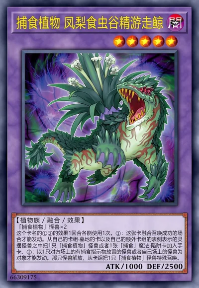 捕食植物 凤梨食虫谷精游走鲸