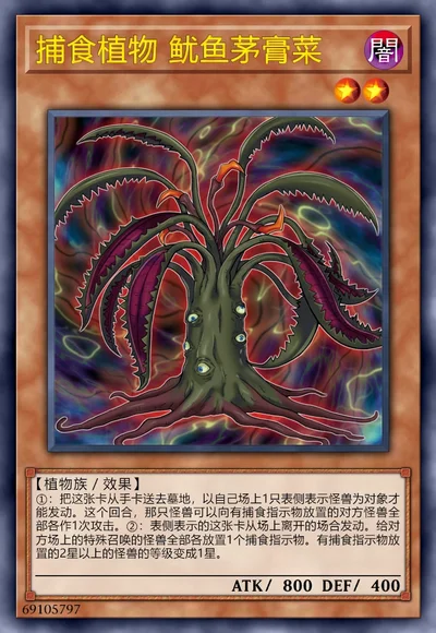 捕食植物 鱿鱼茅膏菜