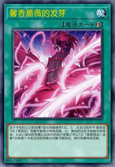 馨香蔷薇的发芽