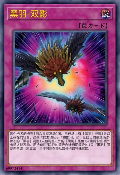 黑羽-双影