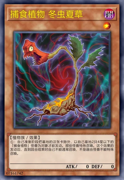 捕食植物 冬虫夏草