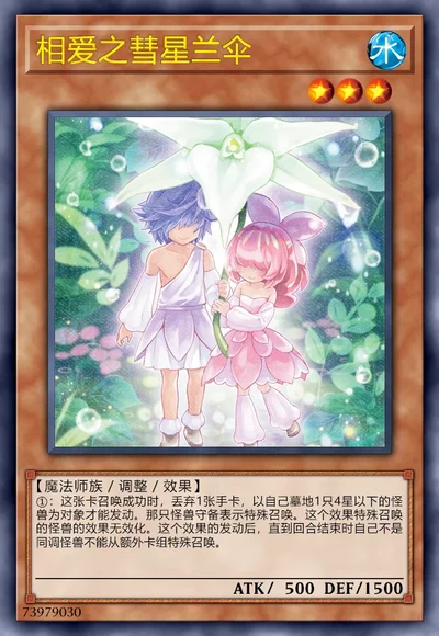 相爱之彗星兰伞