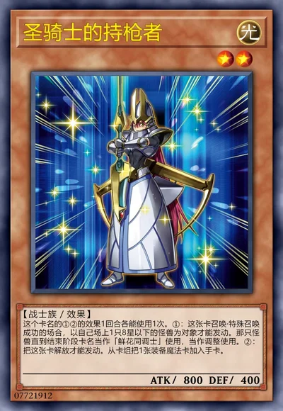 圣骑士的持枪者