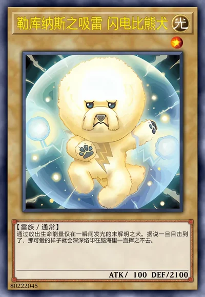 勒库纳斯之吸雷 闪电比熊犬