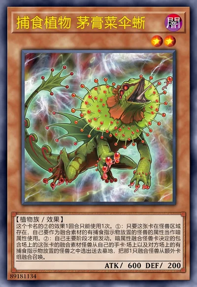 捕食植物 茅膏菜伞蜥