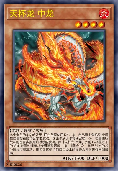 天杯龙 中龙