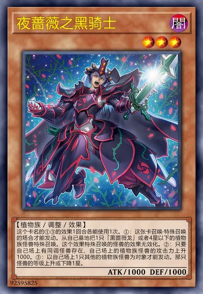 夜蔷薇之黑骑士