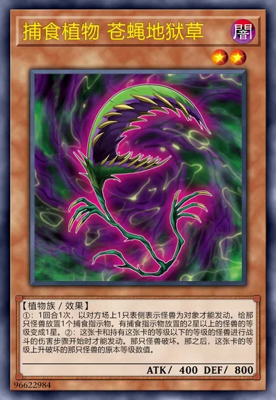 捕食植物 苍蝇地狱草