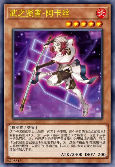 武之贤者-阿卡丝