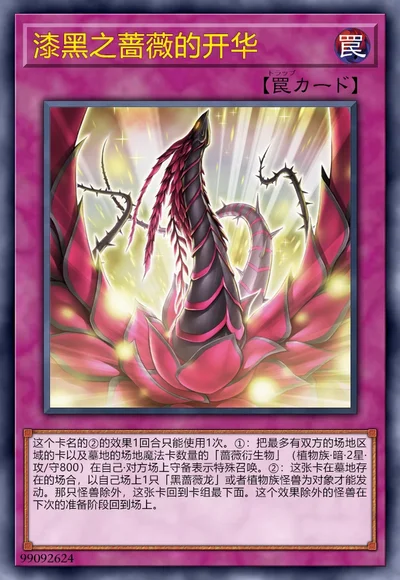 漆黑之蔷薇的开华