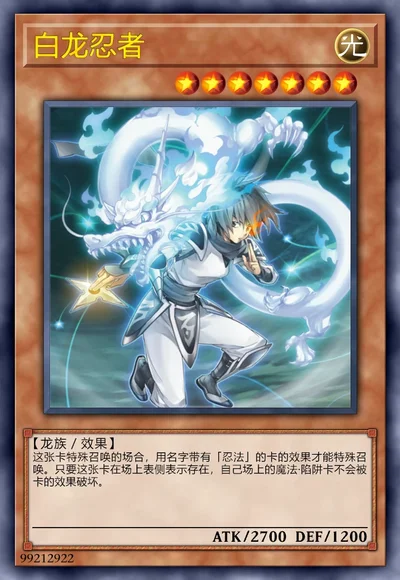 白龙忍者