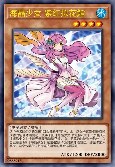 海晶少女 紫红拟花鮨