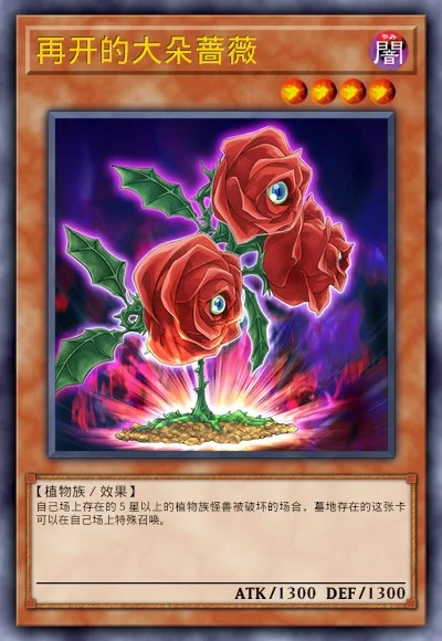 再开的大朵蔷薇