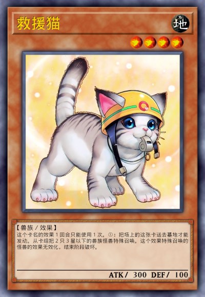 救援猫